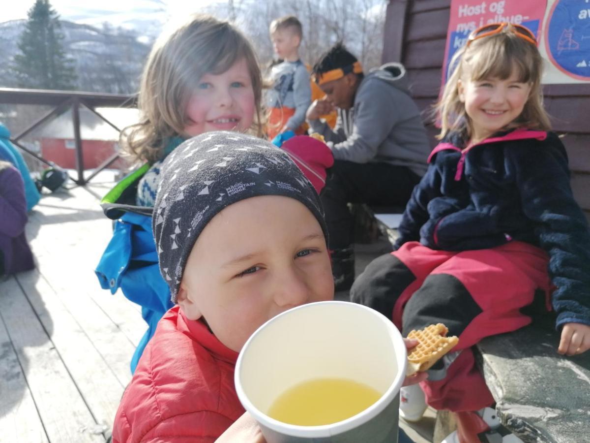 Hytte Magic Mountain - Lyngen *