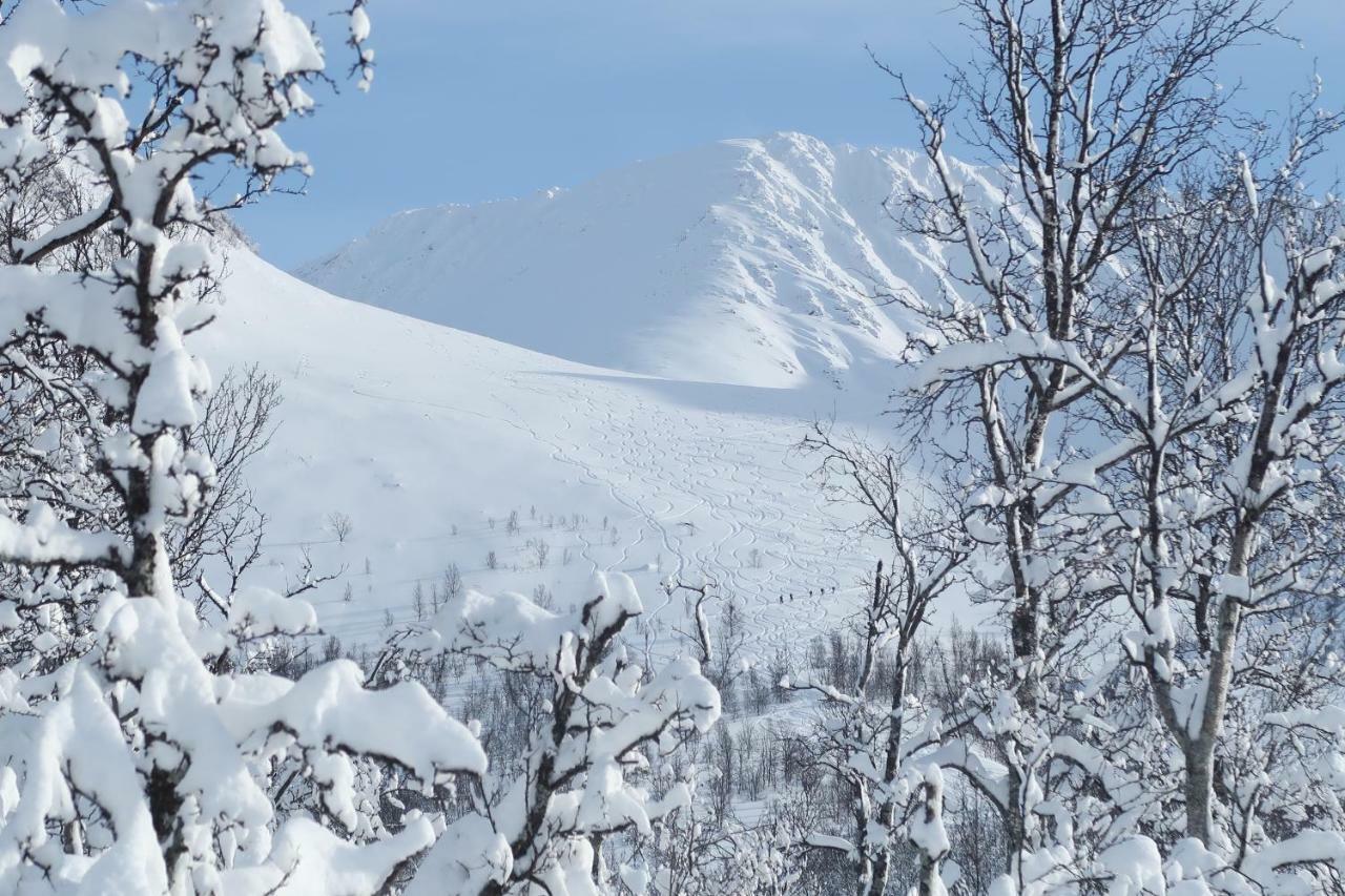 Hytte Magic Mountain - Lyngen Lyngseidet